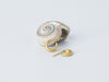 Selene Earrings by Alexis Menten with 22k gold crescent hoops handmade in an ancient style displayed next to a seashell